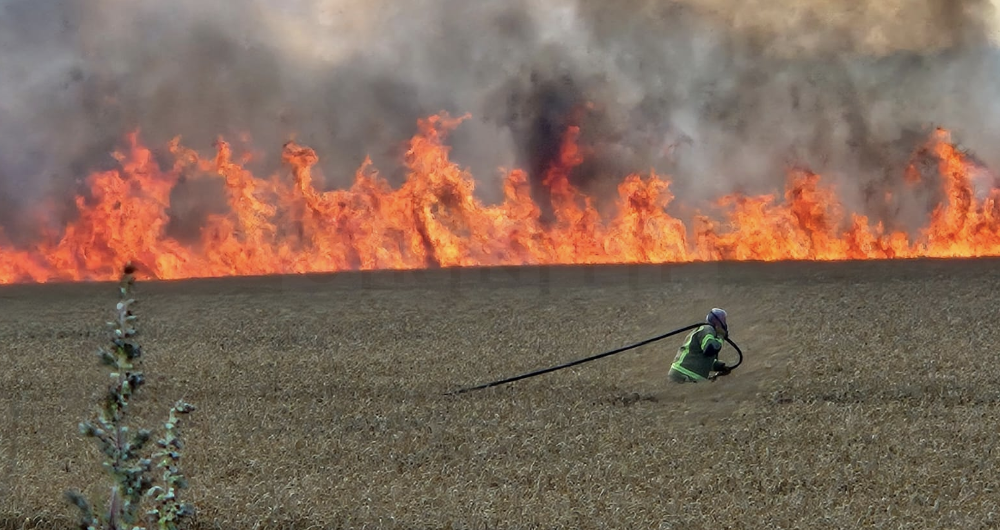 Major Corn Field Fire Extinguished in Canterbury
