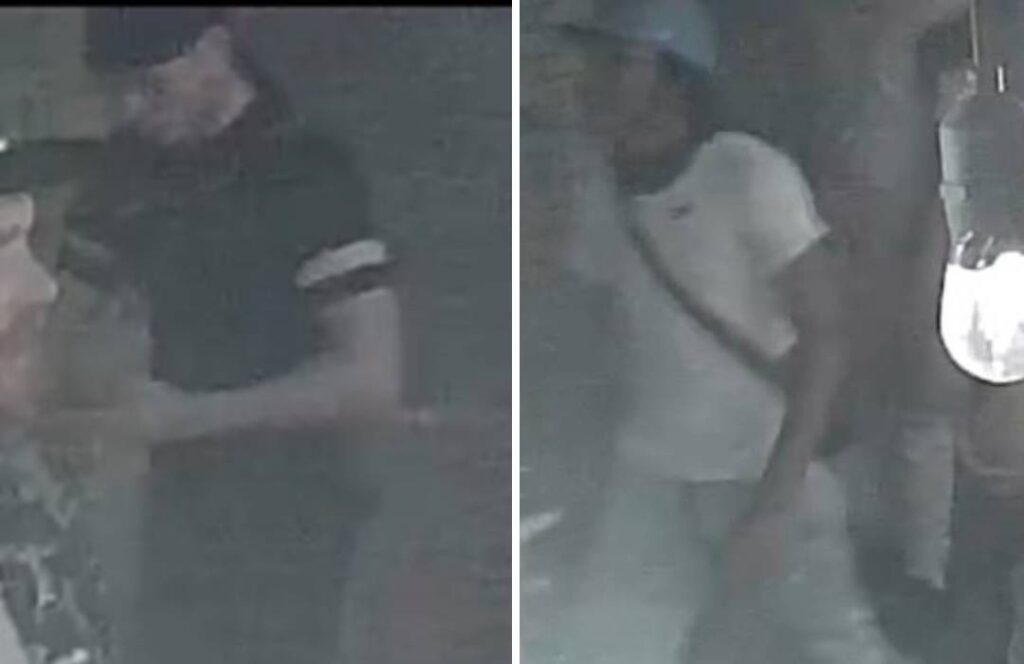 Police Release CCTV Images of Two Boys Wanted in Connection with Hove Lawns Assault