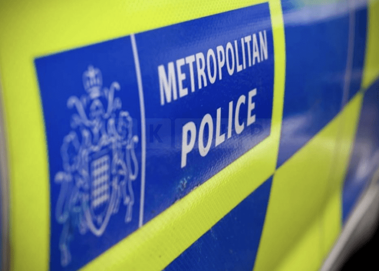 Former Met Police Officer Admits to Multiple Counts of Misconduct Over Unauthorised System Searches