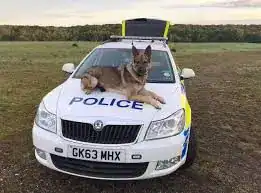 Two Arrested After Police Pursuit Leads to Drugs and Weapons Seizure in Dartford