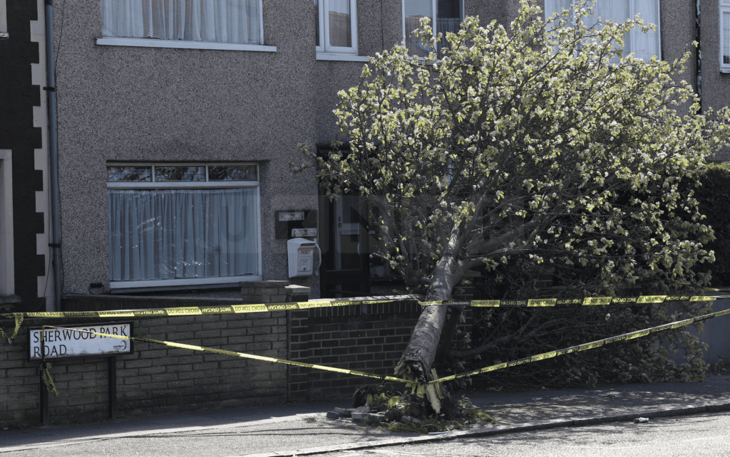 Emergency Services Rescue Elderly Couple After Tree Collapses Onto Home in Mitcham