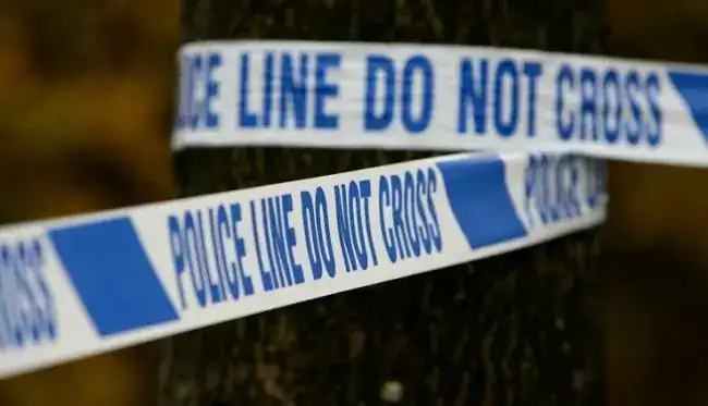 Murder Investigation Launched After Deadly Attack in Brighton Home