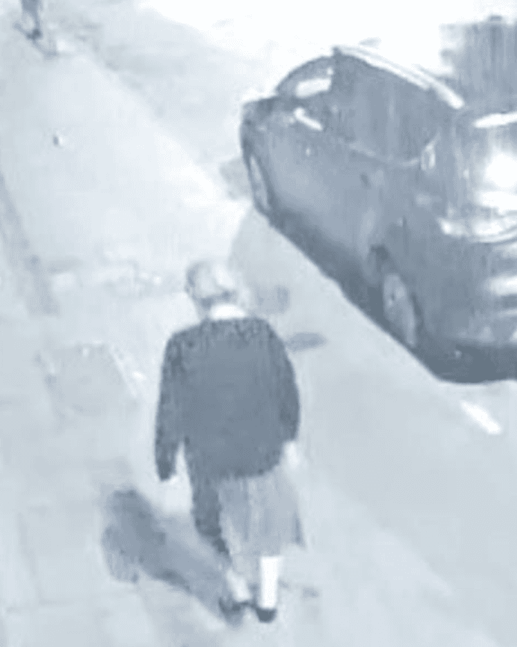 Police Release CCTV Image in Search for Missing Gravesend Woman, 76