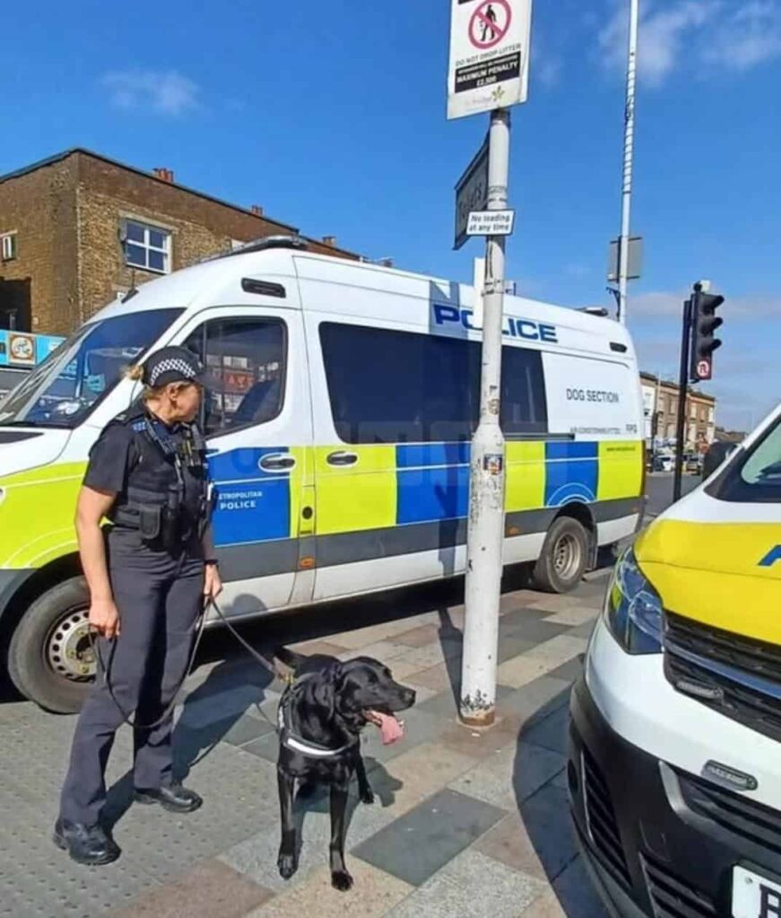 15-Year-Old Arrested and Charged Following Knifepoint Robbery in Seven Kings