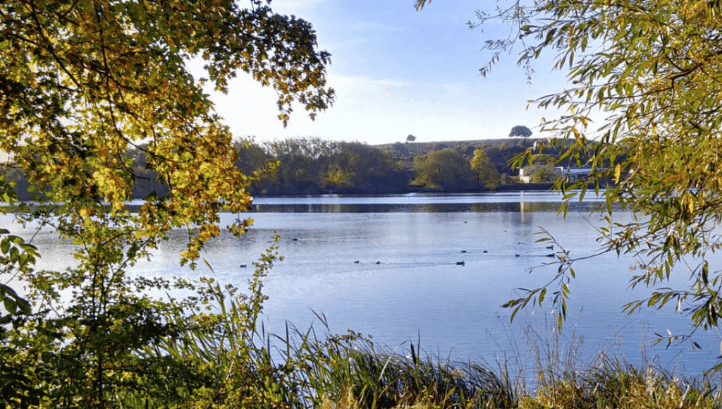 Police Investigate After Woman’s Body Found in Kings Mill Reservoir