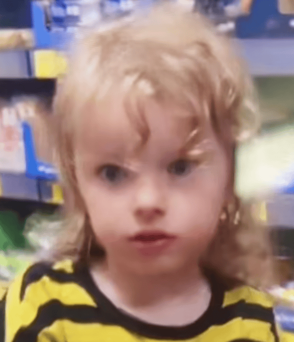 Woman Arrested for ‘Wasting Police Time’ After Four-Year-Old Boy’s Alleged Disappearance Sparks Massive Suffolk Search