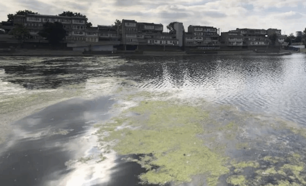 Teenager Rescued from Southmere Lake and Taken to Hospital After Emergency Response