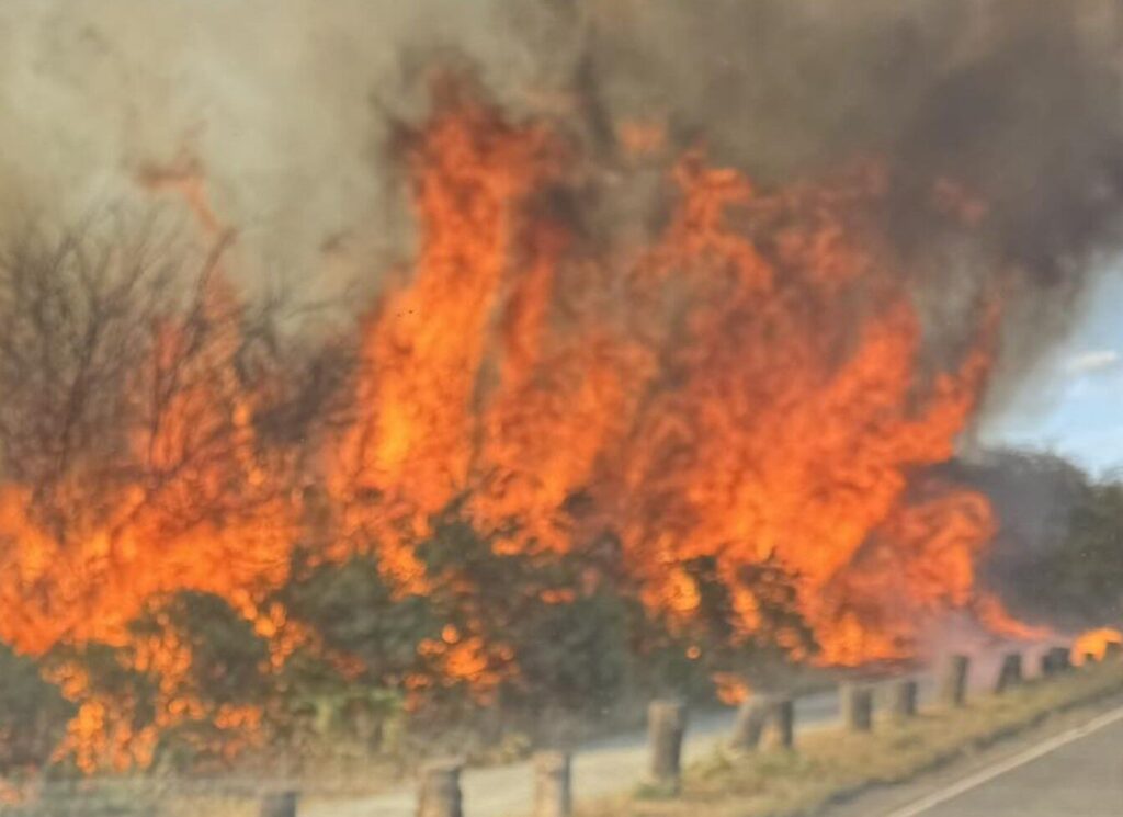 Close Windows and Doors: Wildfire Breaks Out on Dartford Heath