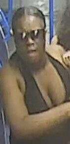 Woman Sought After Man Stabbed with Glass Bottle on Brighton to Haywards Heath Train