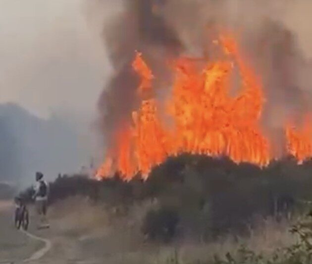 Second Wanstead Flats Fire in 24 Hours Sees 70 Firefighters Deployed – UKNIP