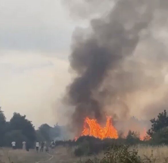 Major Fire Breaks Out on Wanstead Flats – Residents Told to Stay Indoors