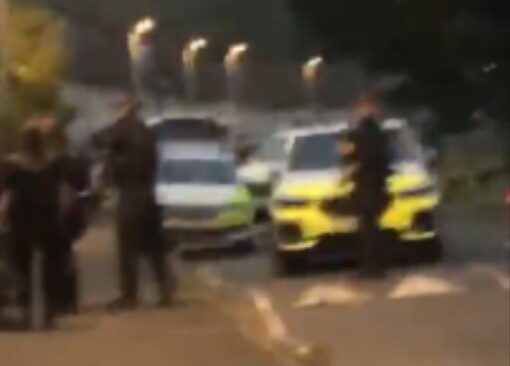 XL Bully Dogs Seized and Man Arrested After Street Altercation in Moulsecoomb