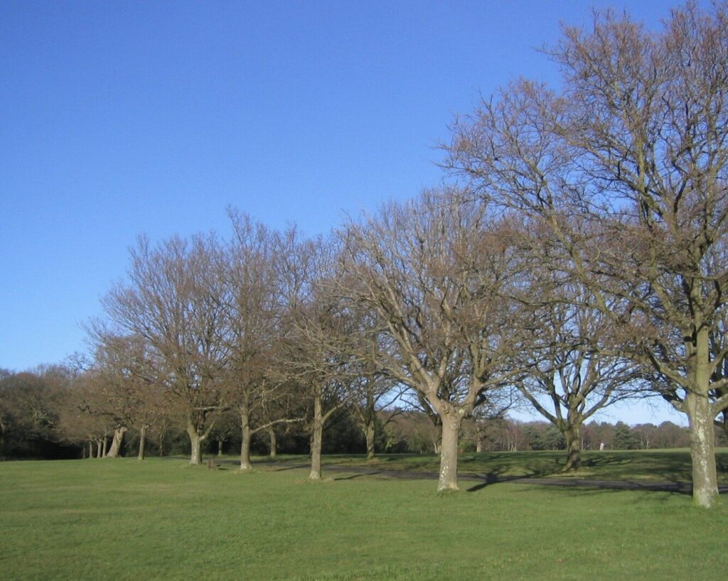 Mystery Surrounds Body Found in Southampton Wildlife Reserve ? UKNIP