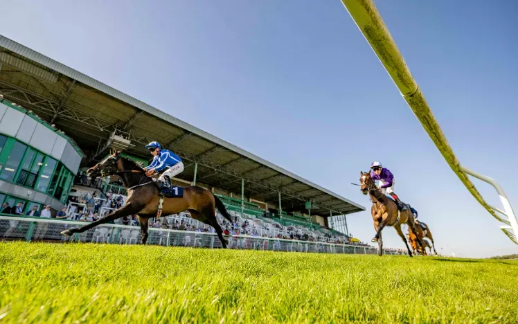 Racecourse Meeting Cancelled After Wildlife Damage to Track