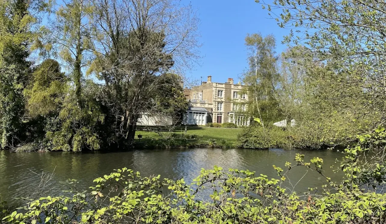 Goslings Killed After Disturbing Attacks in Sidcupâ€™s Lamorbey Park