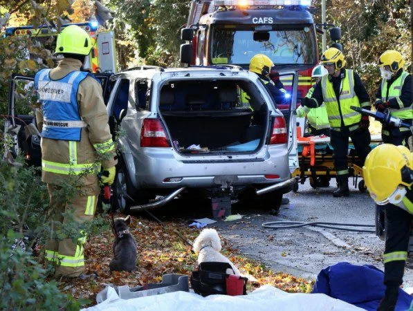 Woman Rescued After Four-Car Crash Blocks Farehamâ€™s Newgate Lane for Hours