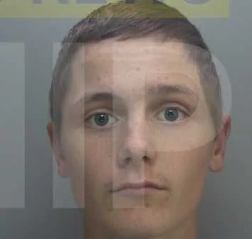 Gosport Teen Luke Pearce Jailed for 17 Years Over Fareham Murder of Michael Deary