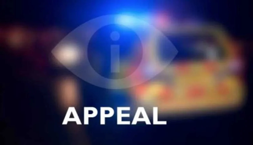 Woman left with serious head  injuries