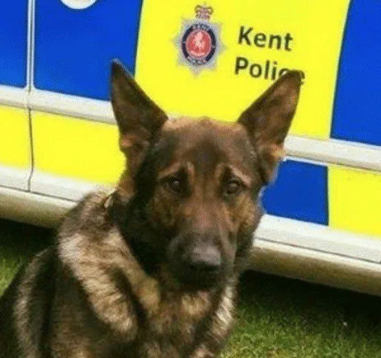 Three teenagers arrested after Street Robbery