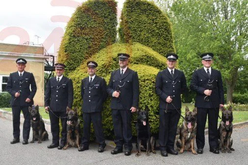 Met Police Welcome â€˜Palmer Litterâ€™ Puppies Honouring PC Keith Palmer as New Dogs Hit London Streets