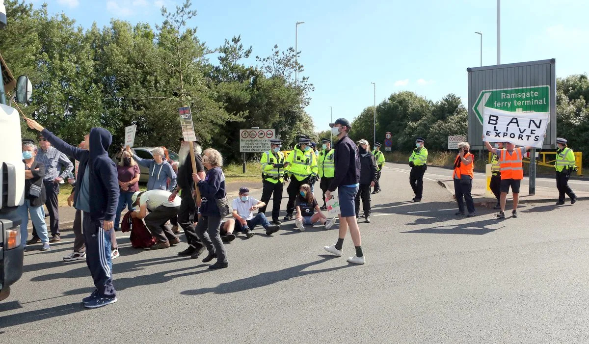 Live Animal Exports Resume at Ramsgate Port as Protesters Block Sheep Lorries in Sit-Down Demo