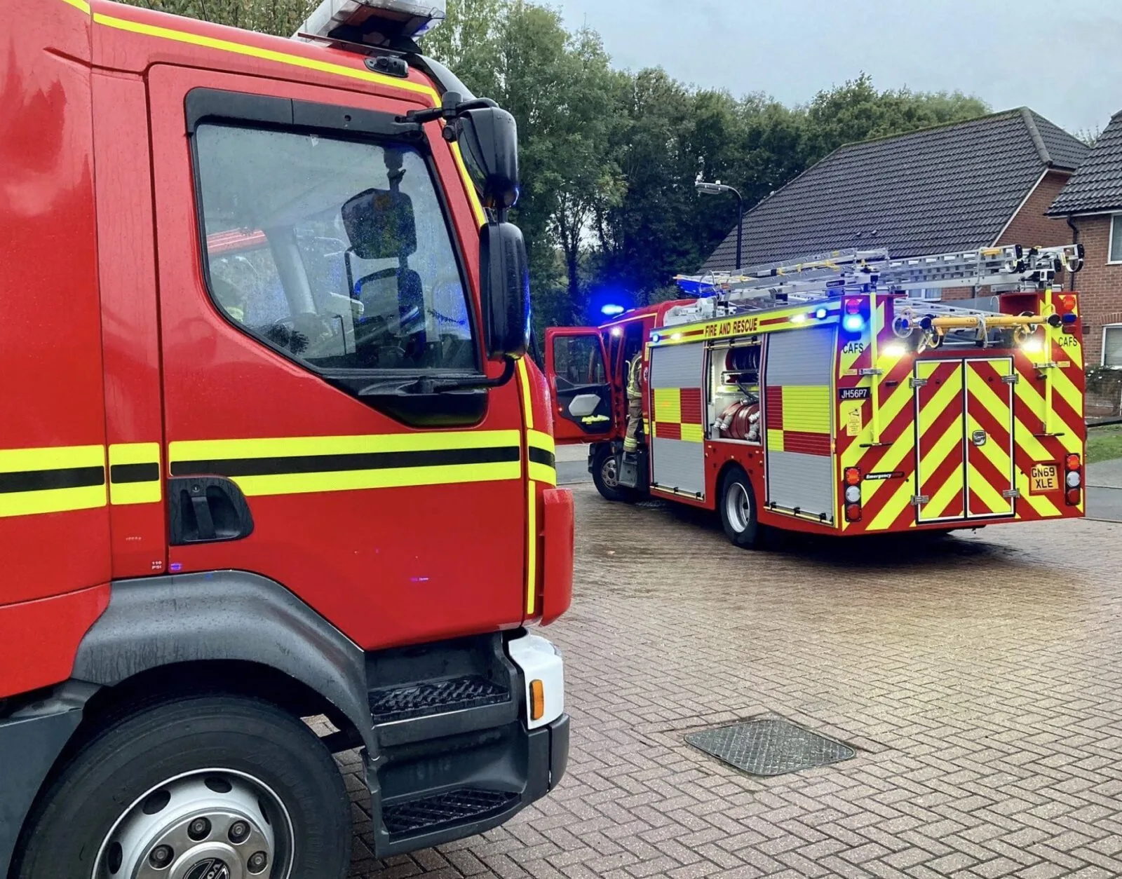 Hero Firefighters Rescue Dog from Southampton Blaze Caused by Forgotten Pan