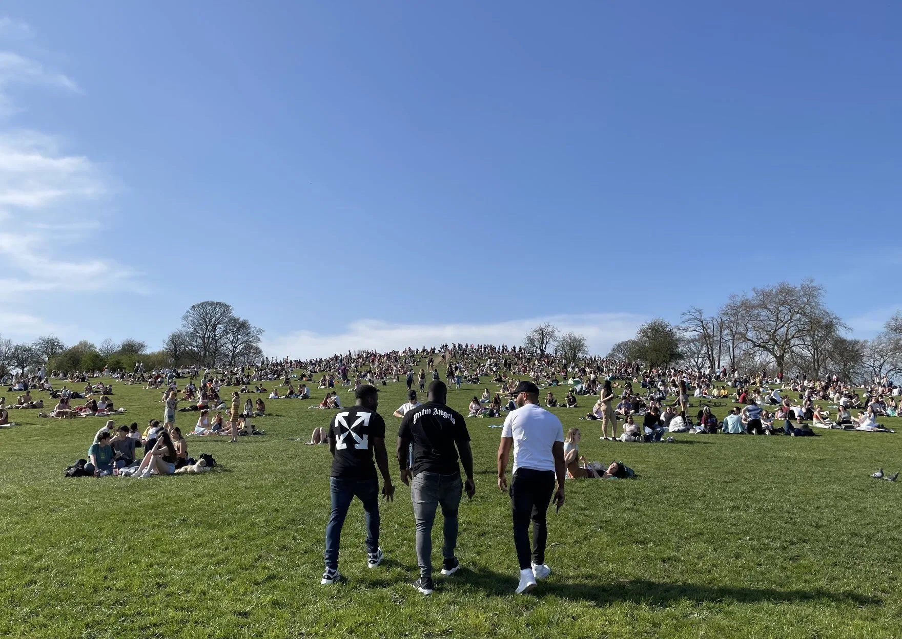 Armed police called to Primrose Hill Park following stabbing attack