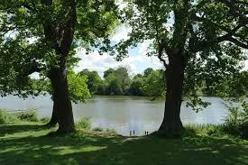 Woman Attacked by Four Teens in Brutal Mote Park Assault â€“ Police Urge Witnesses to Come Forward