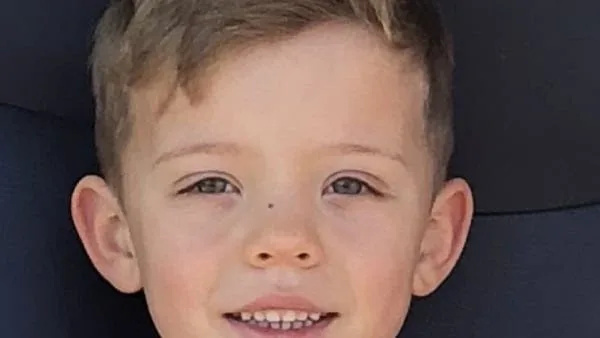 Pub Owner Jailed 9 Years After 7-Year-Old Dies Electrocution at Harold Wood Pub