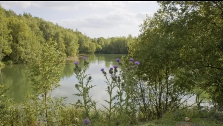 Police sadly confirmed that a boy who was found unresponsive in water at Swanwick Lakes Nature Reserve has died in hospital