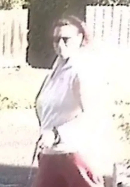 A CCTV image has been released by officers investigating a reported dangerous dog in Whitstable