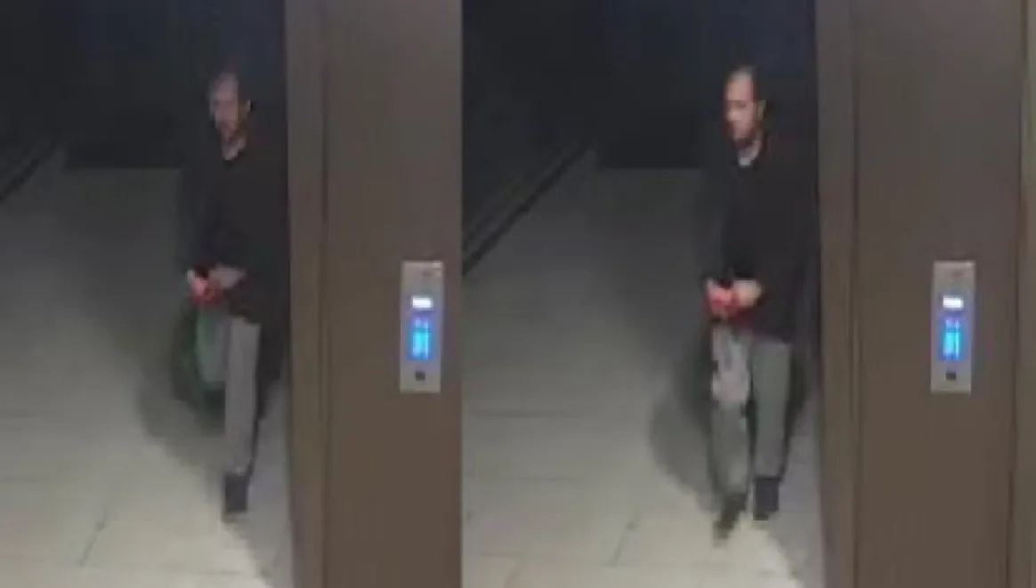 Shock Police Release CCTV of Man and Silver Car Linked to Sabina Nessa Murder â€“ Urgent Appeal