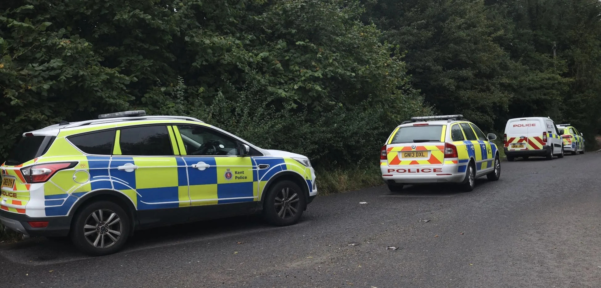 Sabina Nessa Murder: Man Charged After Teacher Brutally Killed in Southeast London Park