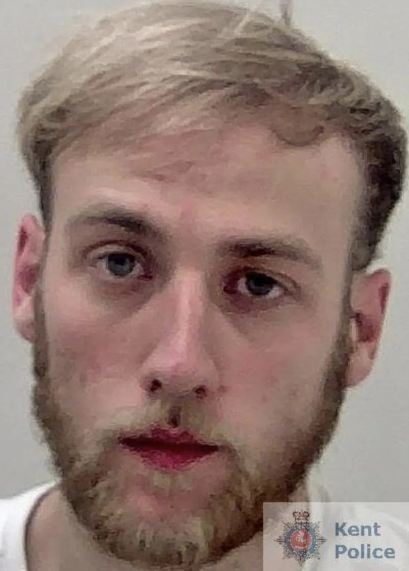 Burglar Crashes Stolen Audi After Dagenham Break-In, Jailed for Over Two Years