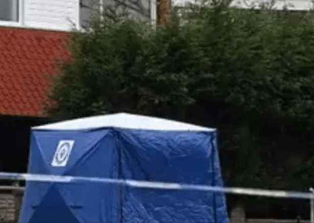 Man in 50s Fatally Stabbed in Grazebook Croft, Birmingham â€“ Police Launch Murder Hunt