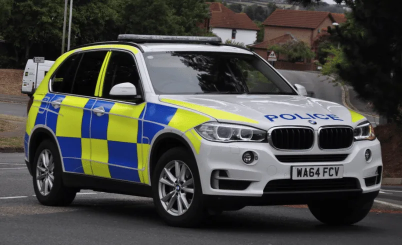 Shock in Radlett: 101 Dead Lambs Dumped on Hill Farm Sparks Police Hunt