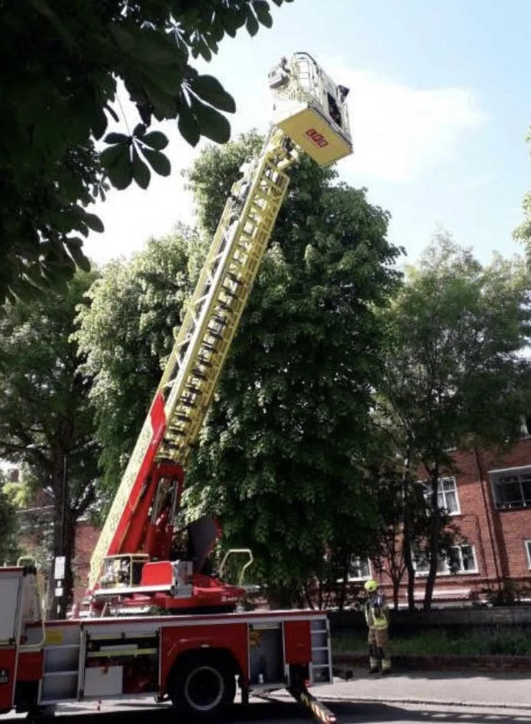 London Maisonette Blaze: Firefighters Tackle Intense Third-Floor Fire in Islington, No Injuries Reported
