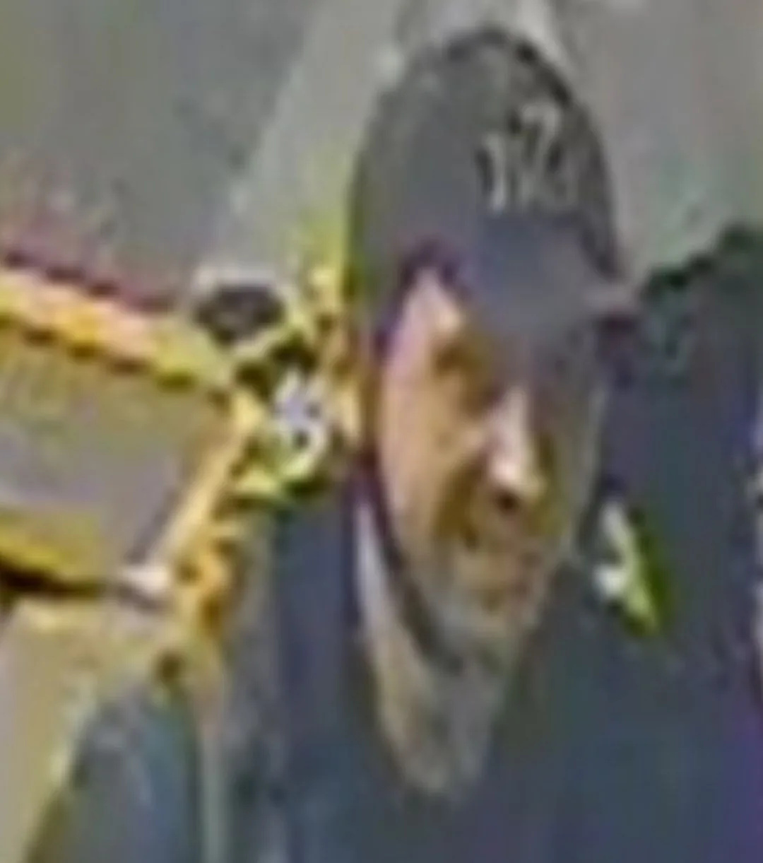 CCTV Released After Woman Sexually Assaulted While Assisting Passenger at Birmingham New Street