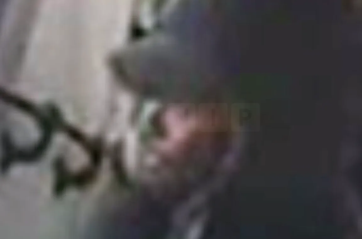 Defibrillator Theft Drama: Crooks Fake 999 Call to Steal Life-Saving Kits at Sydenham & Beckenham Stations