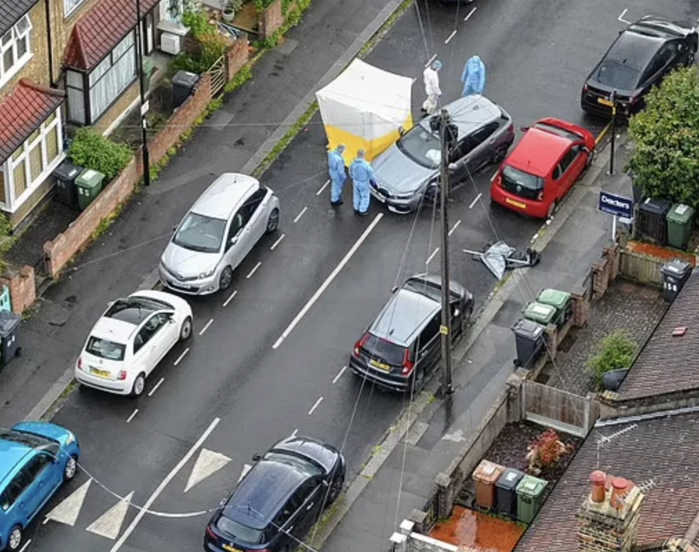 BMW Driver Stabbed to Death Through Car Window After Running Over Manâ€™s Bike in Ladywell Road Rage