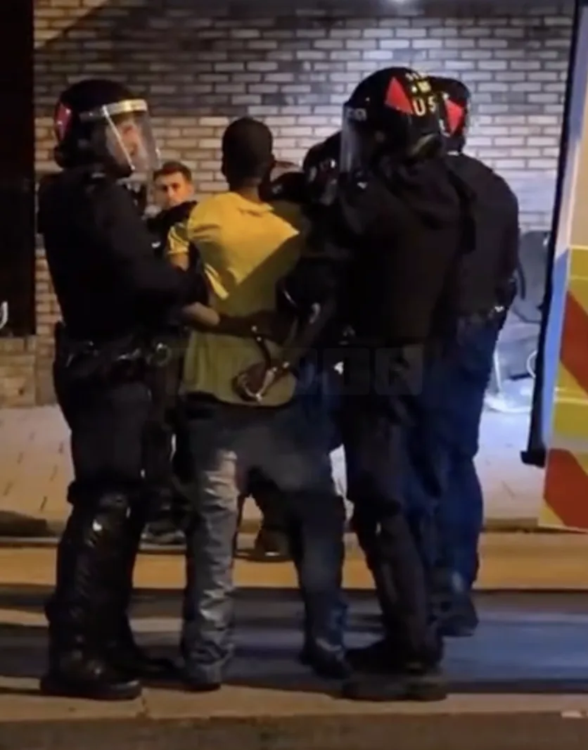 Croydon Horror: Man Arrested After Throwing Dogs From Fourth Floor Balcony During Protests