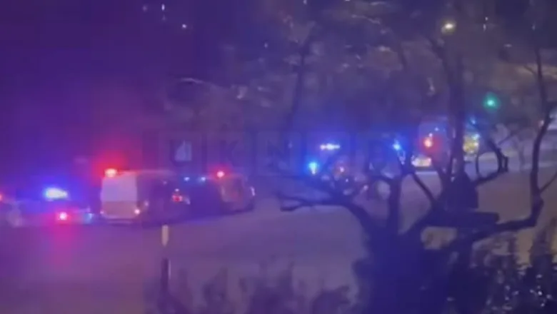 Man Found Dead in Bell Hill Woodland, Northfield â€“ Police Confirm No Suspicion in Death
