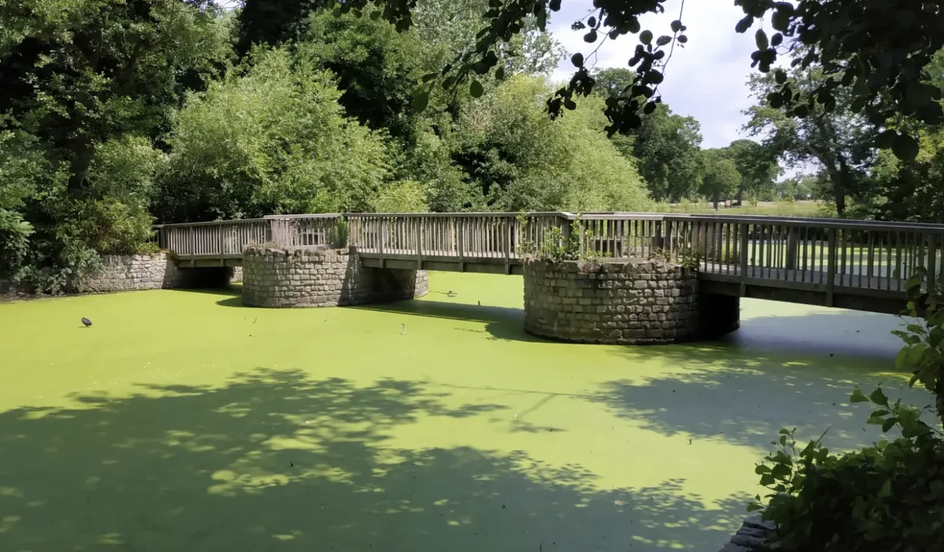Woman Rescued from The Tarn Lake Near Mottingham Station in Dramatic Morning Rescue