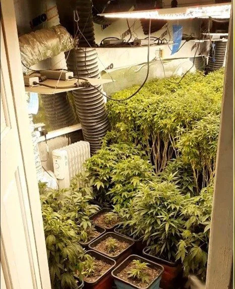 Hornchurch Manâ€™s Â£70k Cannabis Farm Busted as He Boosted Mortgage and Cleared Drug Debt
