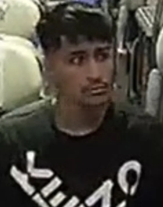 Louis Vuitton Bag Snatched on London Euston to Milton Keynes Train â€“ Police Hunt CCTV Suspect