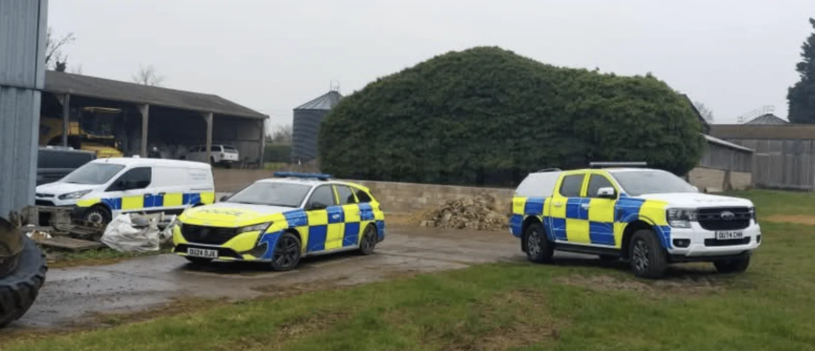 Shock as Four Alpacas and Sheep Shot Dead in East Hatley â€“ Police Hunt Animal Cruelty Culprits