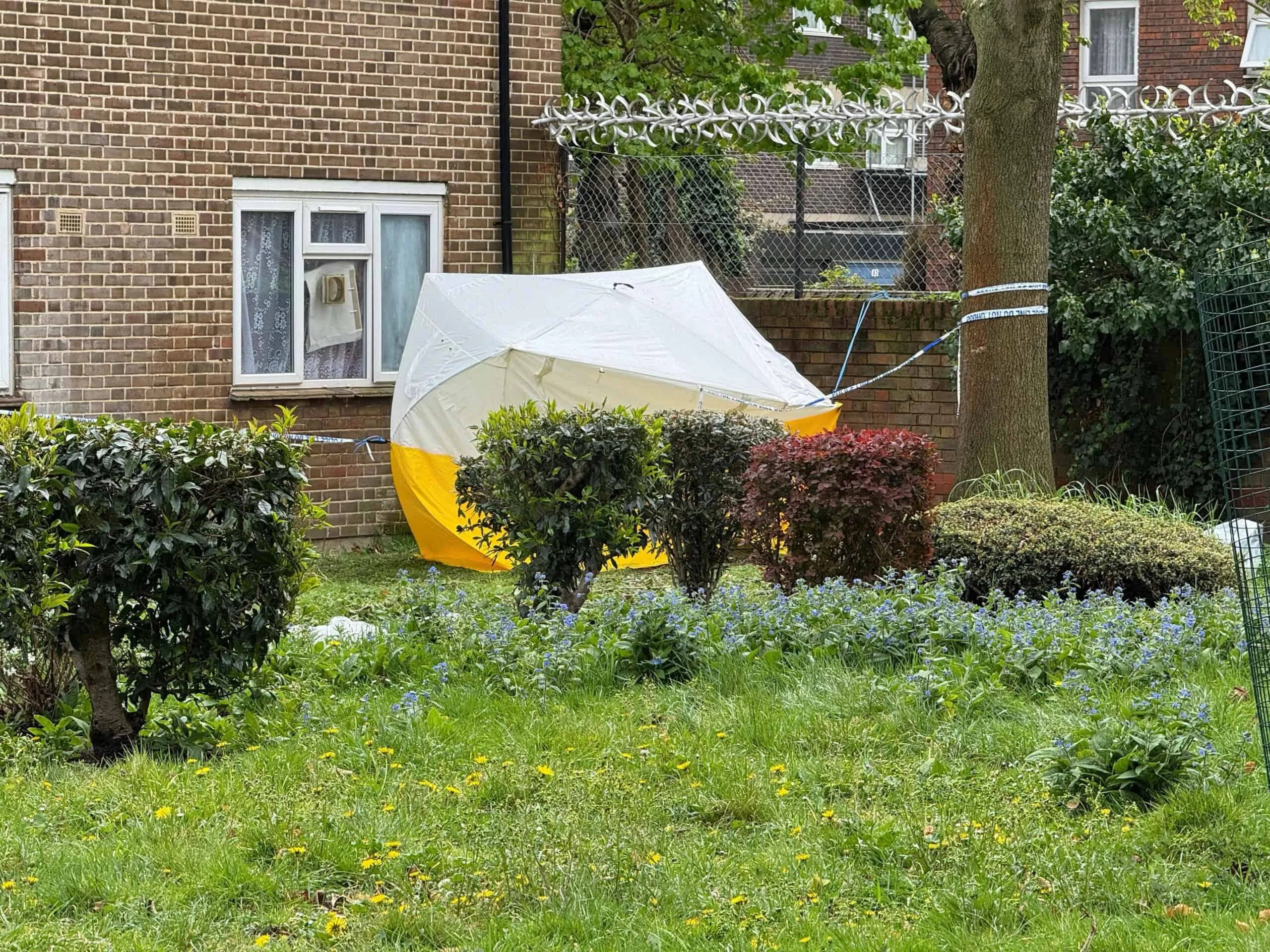 Six Arrested as Murder Investigation Launched Following Fatal Stabbing in Walworth