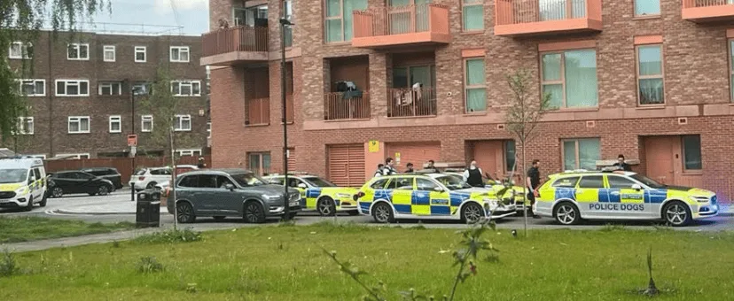 Tottenham Drug Bust: Police Raid Chestnut Estate Seize Drugs, Arrest Made