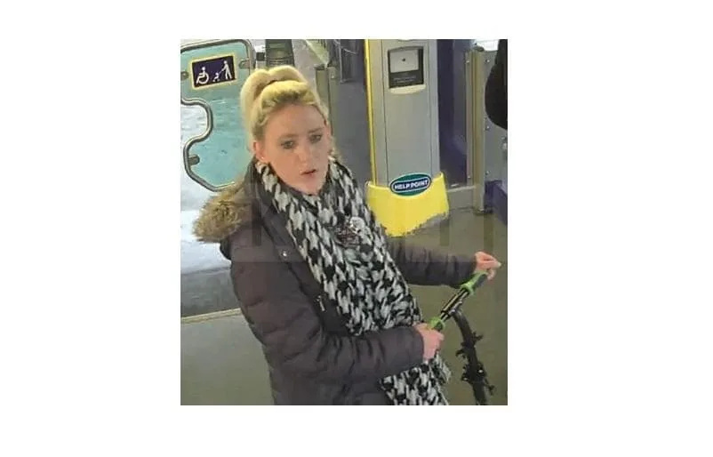 Cash-Stuffed Suitcase Stolen on Thameslink Train â€“ Police Release CCTV of Woman Suspect
