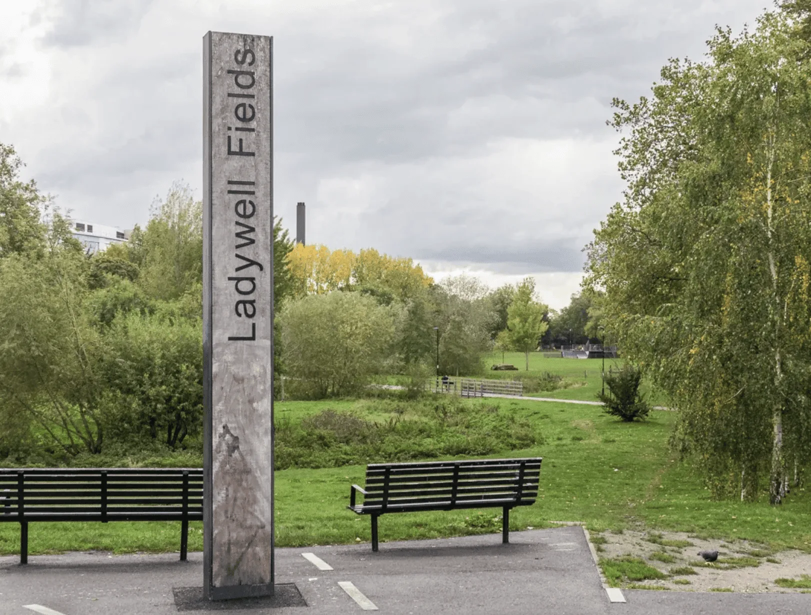 Gunshots Spark Panic in Lewishamâ€™s Ladywell Fields â€“ Police Hunt Witnesses After No Injuries